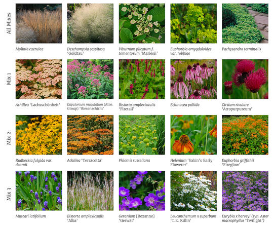 Planting palette