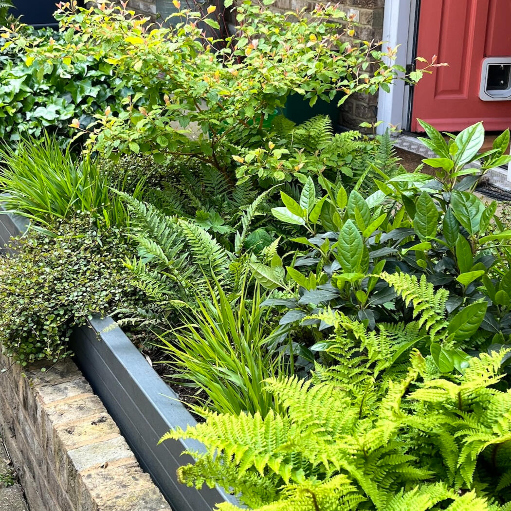 Planter